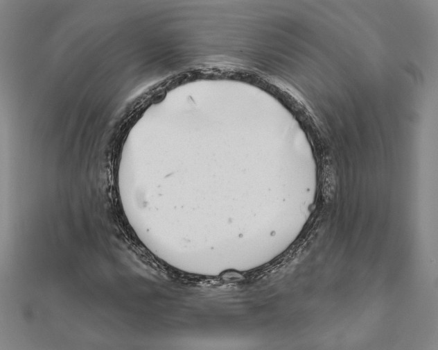 X0000111671112200908141423