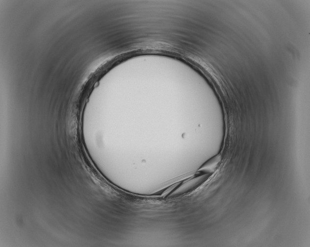 X0000111671115200908141423