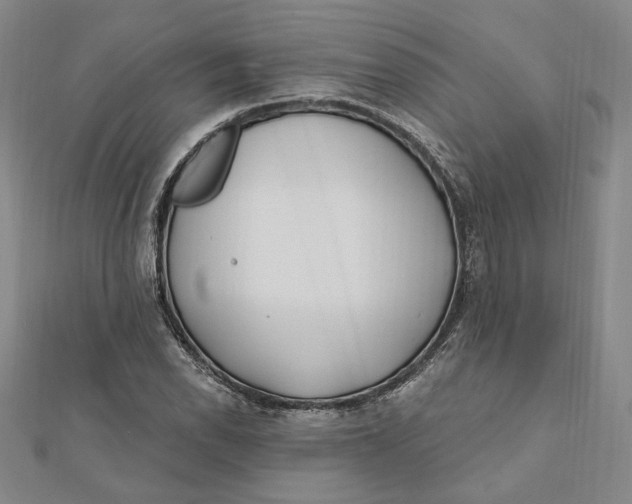 X0000111671118200908141423