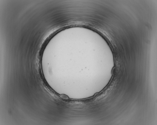 X0000111671119200908141423