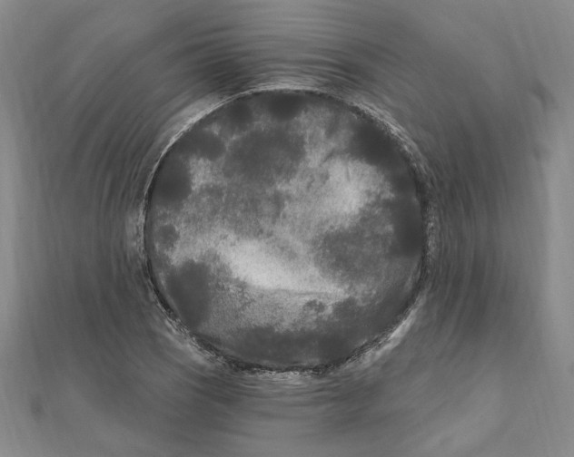 X0000111671121200908141423