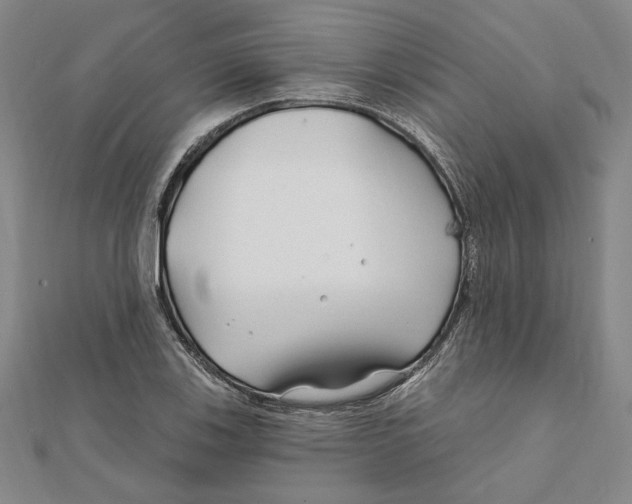 X0000111671123200908141423