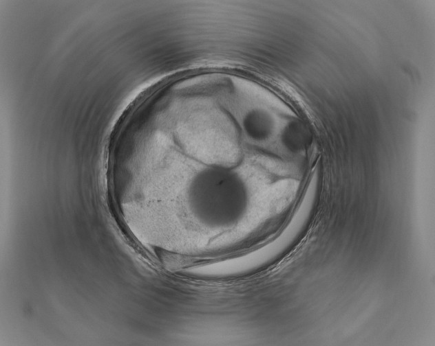 X0000111671124200908141423