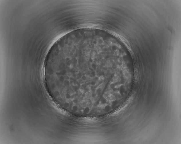 X0000111671125200908141423