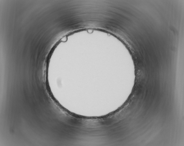 X0000111671126200908141423