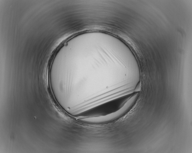 X0000111671127200908141423