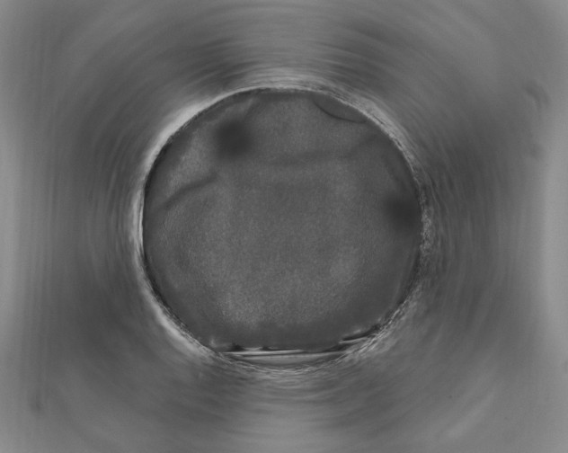 X0000111671128200908141423