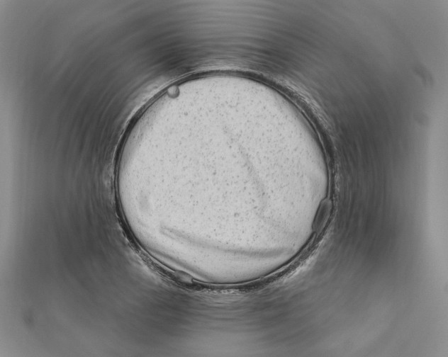 X0000111671129200908141423