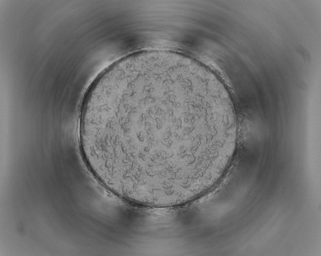 X0000111671130200908141423