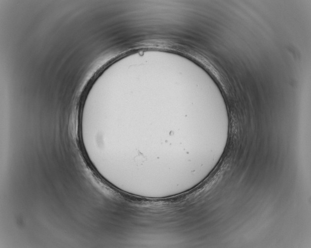 X0000111671131200908141423