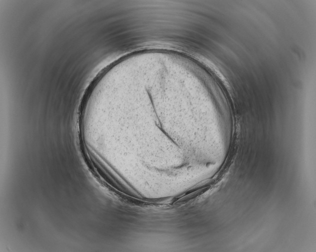 X0000111671133200908141423