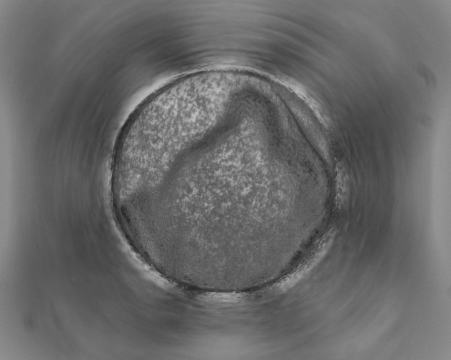 X0000111671134200908141423