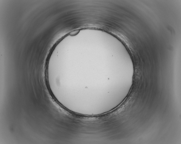 X0000111671135200908141423