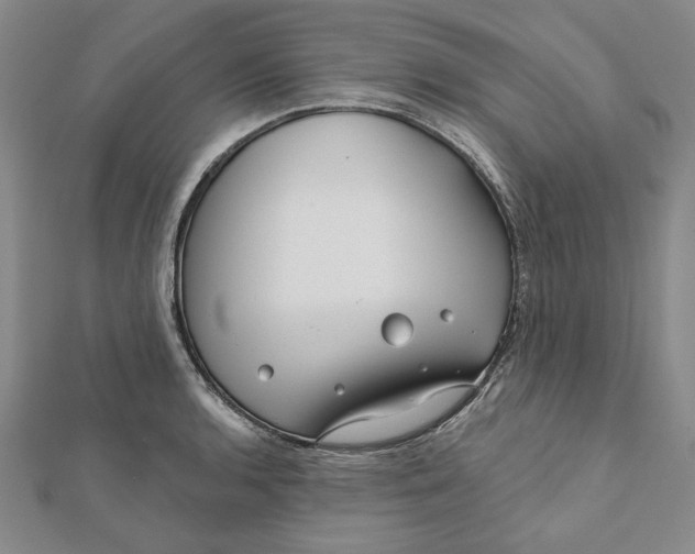 X0000111671136200908141423