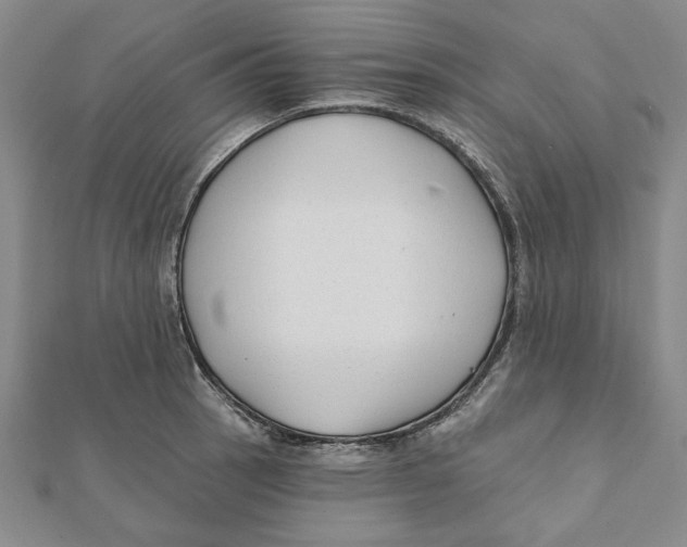 X0000111671137200908141423