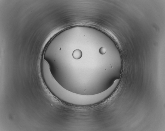 X0000111671138200908141423