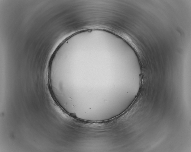 X0000111671140200908141423