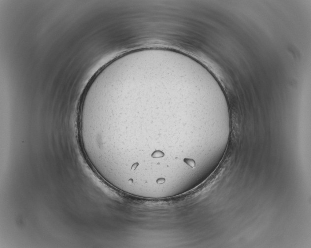 X0000111671142200908141423