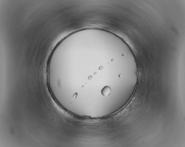 X0000111671143200908141423