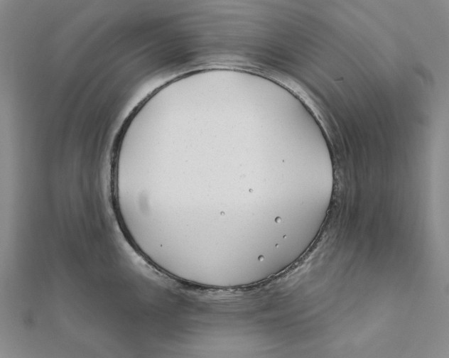 X0000111671147200908141423