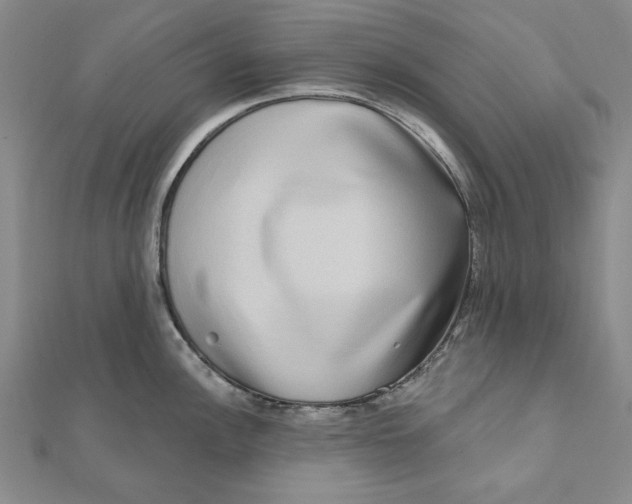 X0000111671148200908141423