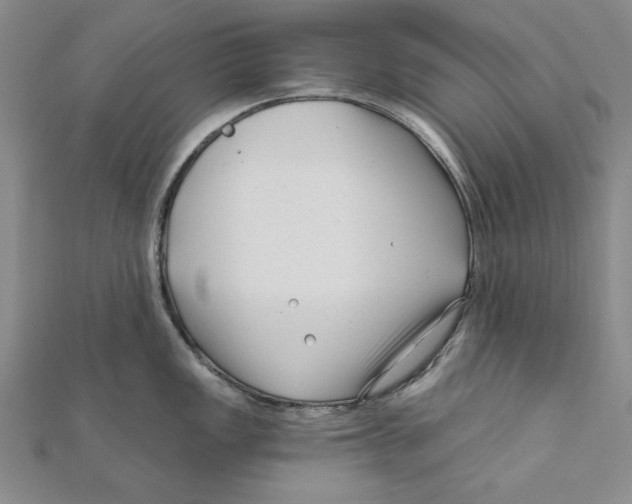 X0000111671149200908141423