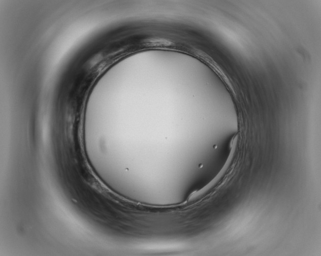 X0000111671151200908141423