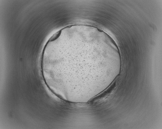 X0000111671152200908141423