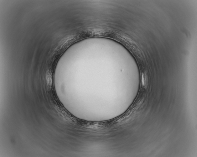 X0000111671155200908141422