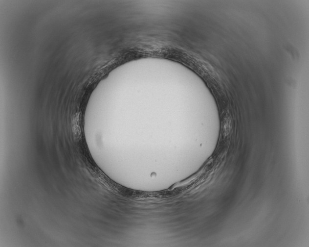 X0000111671156200908141422