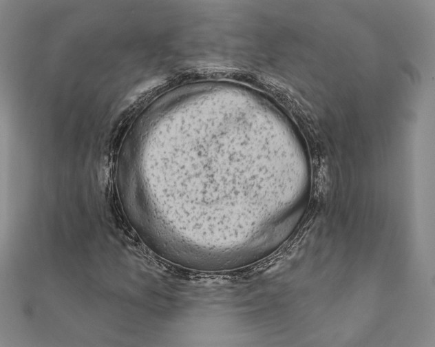 X0000111671157200908141422