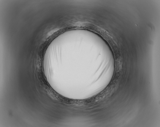 X0000111671158200908141422