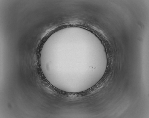 X0000111671160200908141422