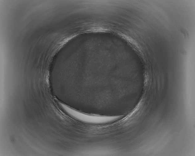 X0000111671161200908141422