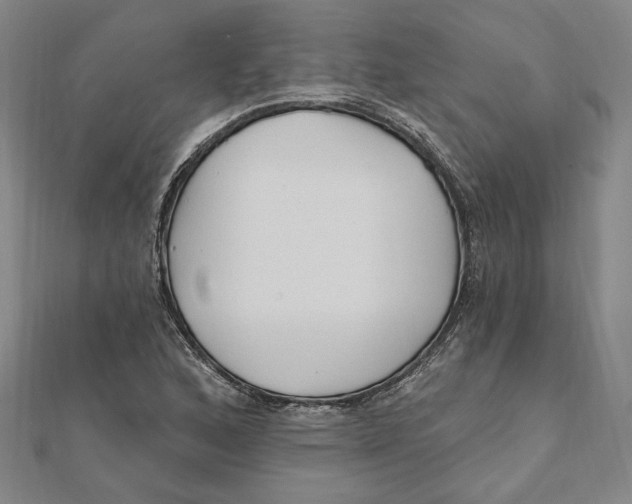 X0000111671168200908141422