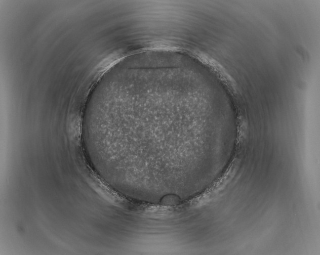 X0000111671169200908141422