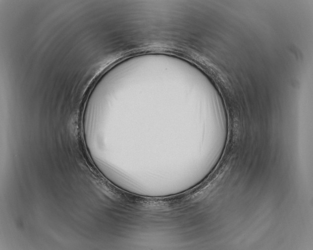 X0000111671170200908141422