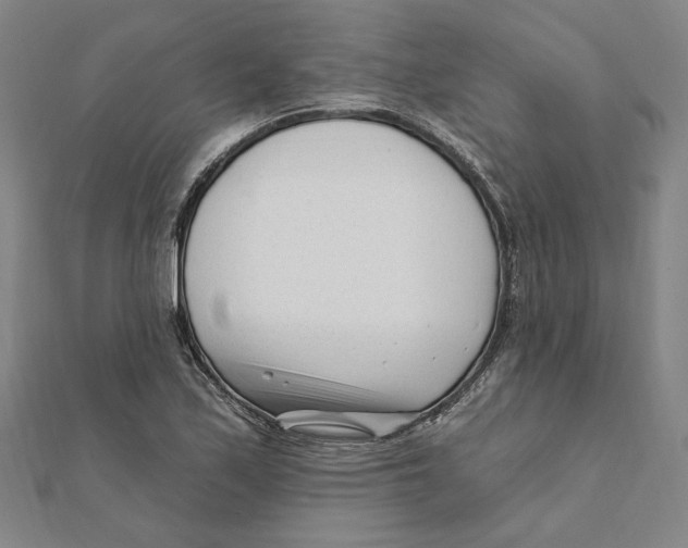 X0000111671171200908141422