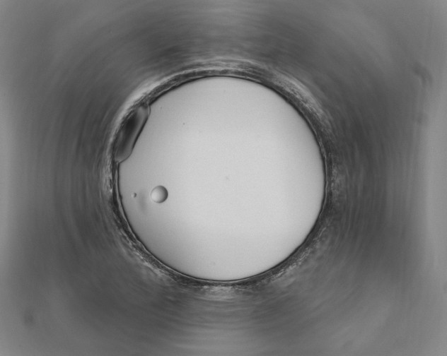 X0000111671172200908141422