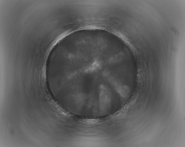 X0000111671173200908141422