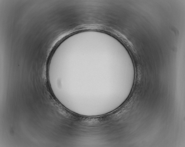 X0000111671174200908141422