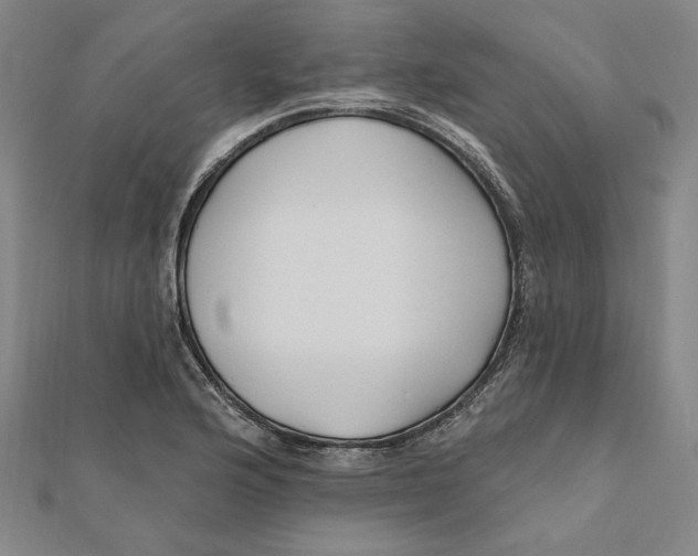 X0000111671176200908141422