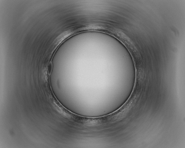 X0000111671177200908141422