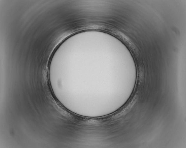 X0000111671178200908141422