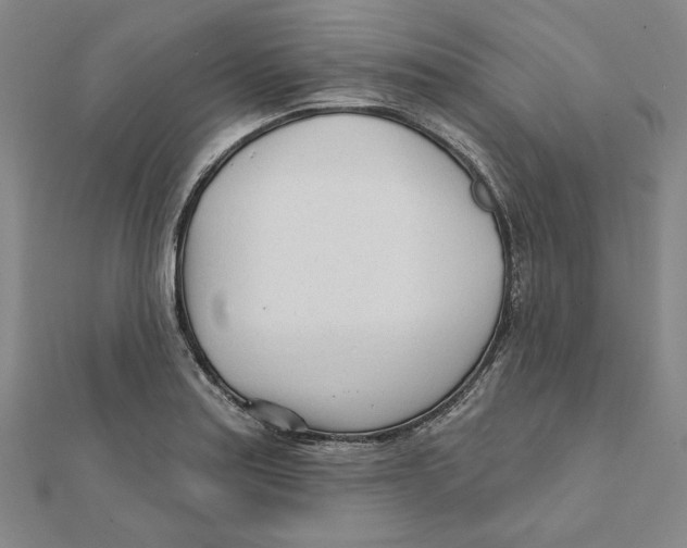 X0000111671179200908141422