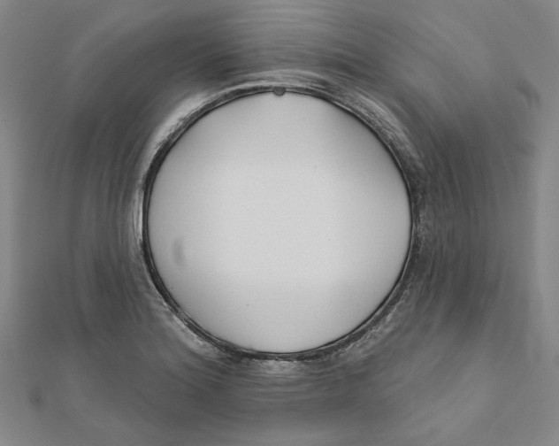 X0000111671180200908141422