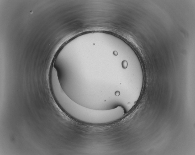 X0000111671181200908141422