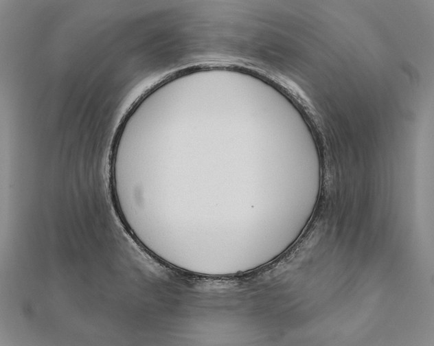 X0000111671183200908141422