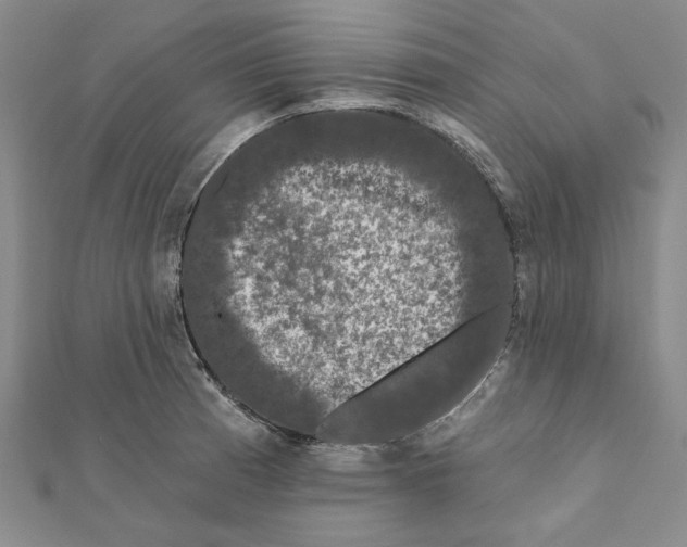 X0000111671185200908141422