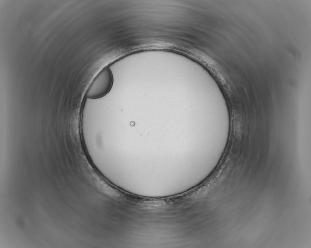 X0000111671186200908141422